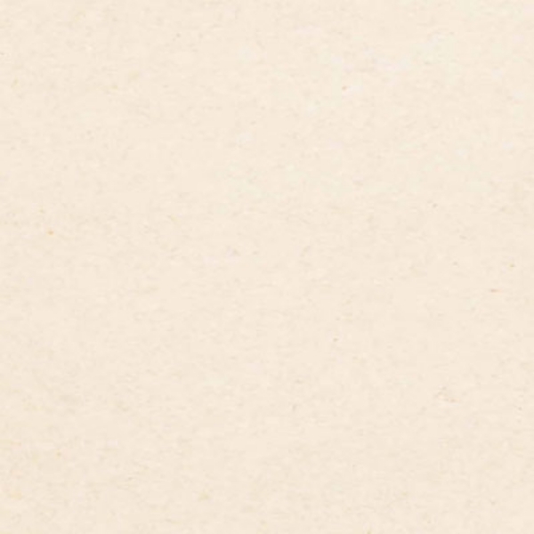 Picture of Globus Cork - Traditional Texture 12 x 24 Snow