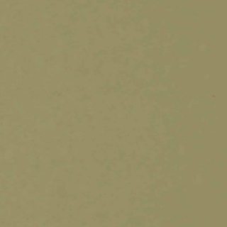 Picture of Globus Cork - Traditional Texture 12 x 36 Pisello