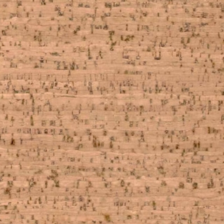 Picture of Globus Cork - Striata Texture 9 x 9 Bleached