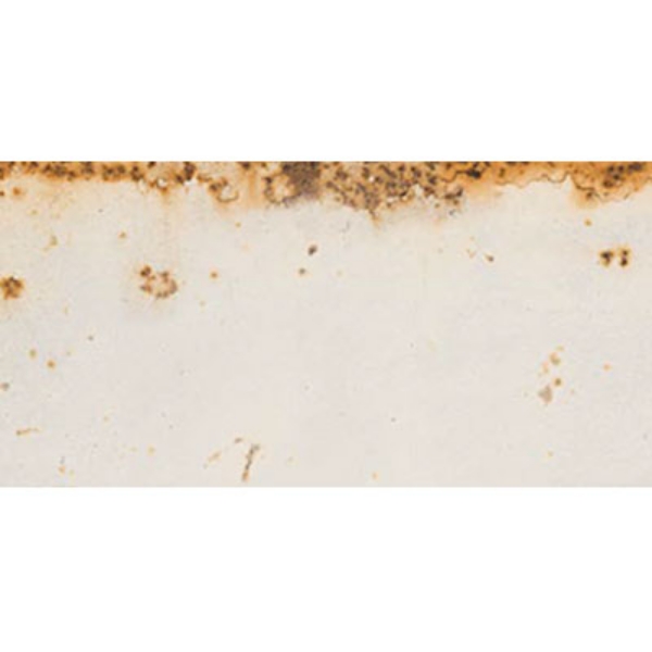 Picture of Ergon Tile - Metal Style 12 x 24 Revival