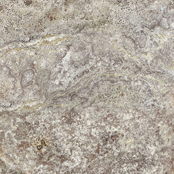 Picture of Anatolia Tile & Stone - Travertine Honed 18 x 18 Silver Ash