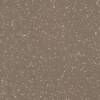 Picture of Flexco - SpexTones Radial II Dark Beige w Seashell Fjord