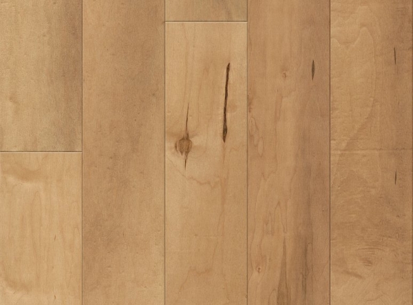 Picture of Anderson - Ellison Maple Charismatic