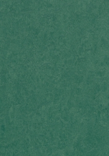 Picture of Forbo - Marmoleum Cinch Loc Seal 12 x 12 Hunter Green