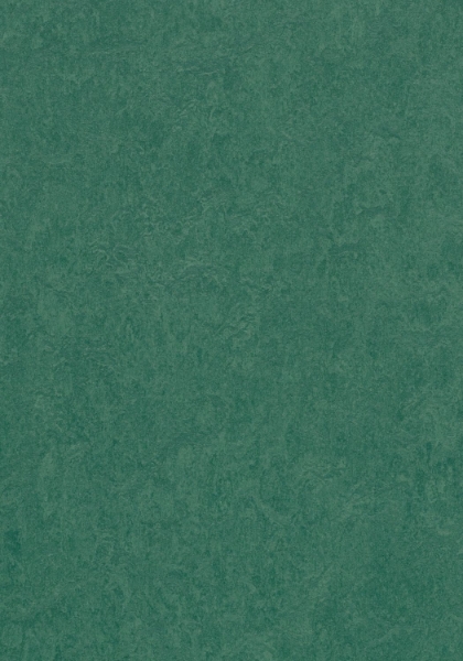 Picture of Forbo - Marmoleum Cinch Loc Seal 12 x 12 Hunter Green