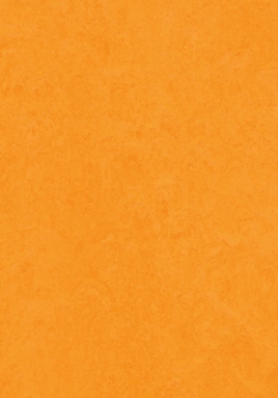 Picture of Forbo - Marmoleum Cinch Loc Seal 12 x 12 Marigold