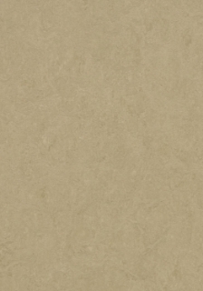 Picture of Forbo - Marmoleum Cinch Loc Seal 12 x 12 Oat