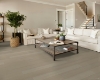 Picture of Shaw Floors - Dwell Genuine Greige