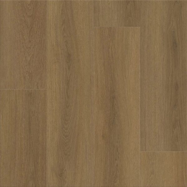 Picture of Shaw Floors - Dwell Rich Cocoa