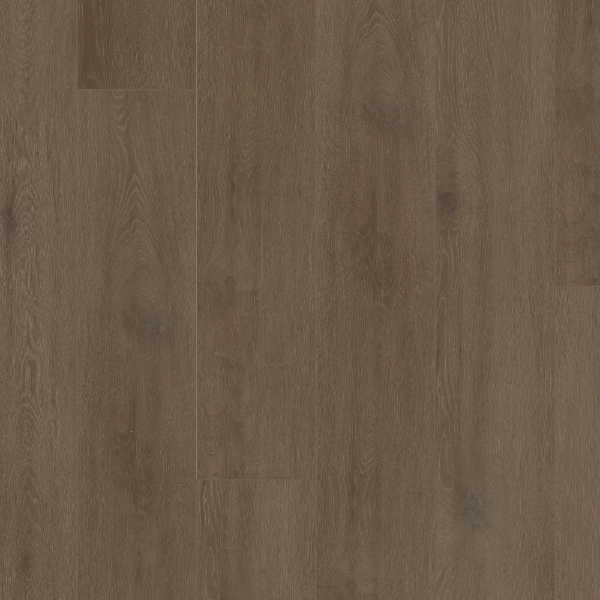 Picture of Shaw Floors - Starting Line Stormy Espresso