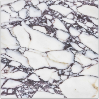 Picture of Elon Tile & Stone - Marble 12 x 12 Bianco Violetta Honed