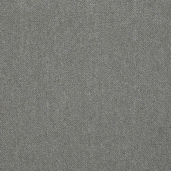 Picture of Chesapeake Flooring - Interaction Sea Gull