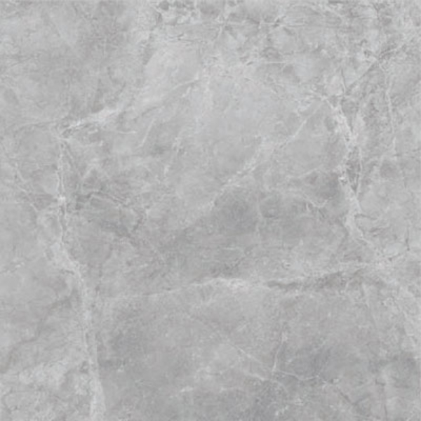 Picture of SantAgostino - Themar 24 x 24 Matte Grigio Savoia