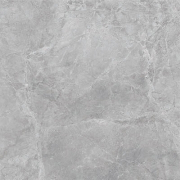 Picture of SantAgostino - Themar 24 x 24 Polished Grigio Savoia