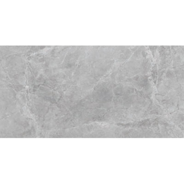 Picture of SantAgostino - Themar 18 x 36 Matte Grigio Savoia
