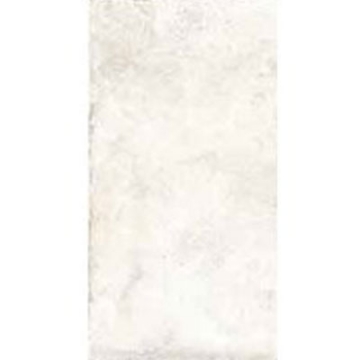 Picture of SOHO Studio Corp - Caruso 12 x 24 Olimpia