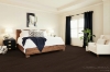 Picture of Shaw Floors - Coral Springs Bayfront