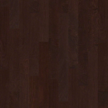 Picture of Shaw Floors - Ocala Conway