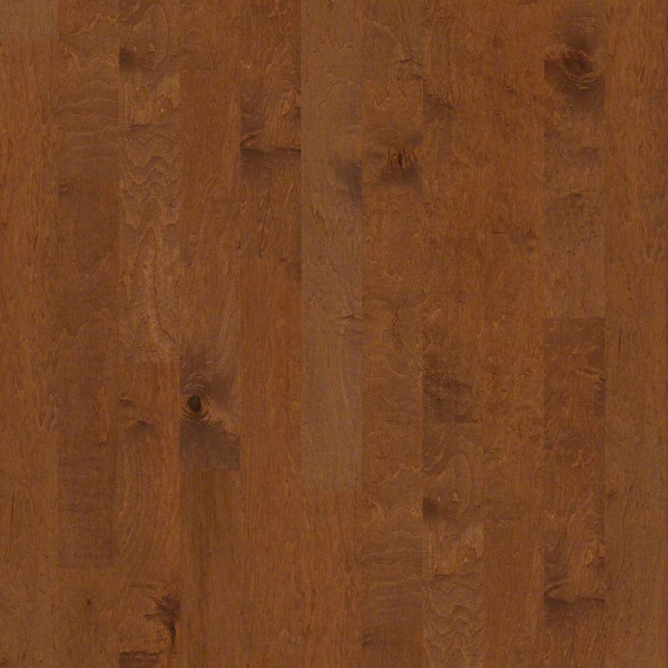 Picture of Shaw Floors - Ocala Surfside