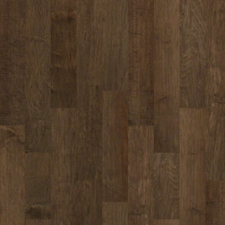 Picture of Shaw Floors - Pacific Grove Bison