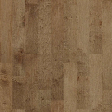Picture of Shaw Floors - Pacific Grove Buckskin