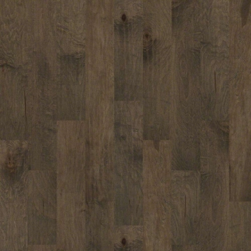 Picture of Shaw Floors - Pacific Grove Timberwolf