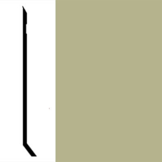 Picture of Johnsonite - Perceptions Designer Recess with Toe Iguana