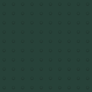 Picture of Johnsonite - Tactile Warning Tile Domes Hunter Green