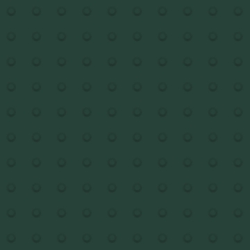 Picture of Johnsonite - Tactile Warning Tile Domes Hunter Green