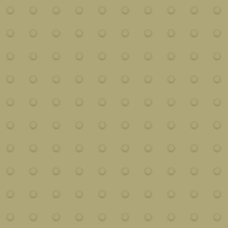 Picture of Johnsonite - Tactile Warning Tile Domes Iguana