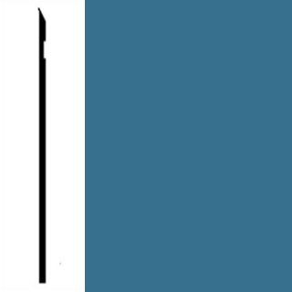 Picture of Johnsonite - Perceptions Designer Recess Toeless Dream Teal