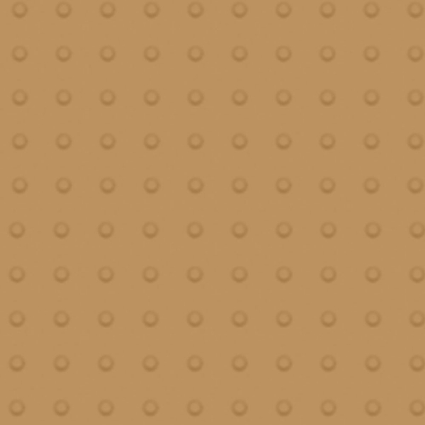 Picture of Johnsonite - Tactile Warning Tile Domes Mr Sunshine