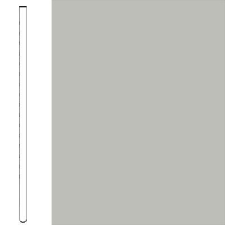 Picture of Flexco - Wall Base Straight 1/8 4 Fjord