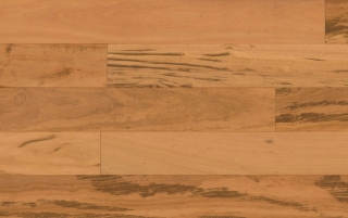 Picture of IndusParquet - Novo Wirebrush Engineered 5 Tigerwood Wirebrush Natural