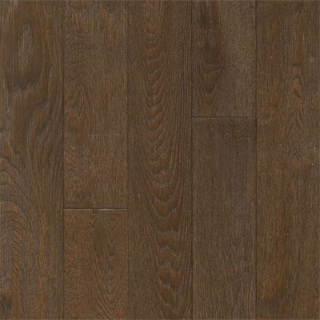 Picture of Armstrong - Appalachian Ridge Wilderness Trail