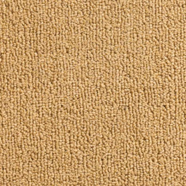 Picture of Aladdin Commercial - Color Pop 24 x 24 Mustard Seed