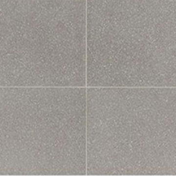 Picture of American Olean - Neospeck 24 x 24 Polished Light Gray