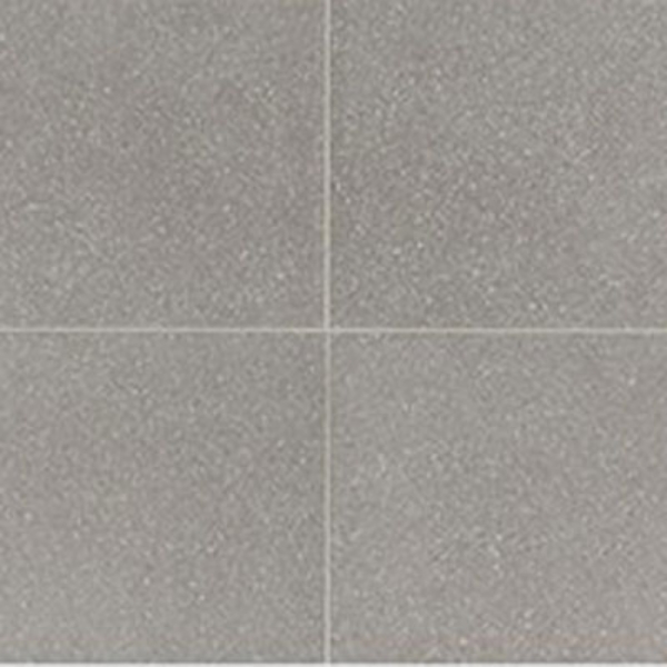Picture of American Olean - Neospeck 24 x 24 Polished Light Gray