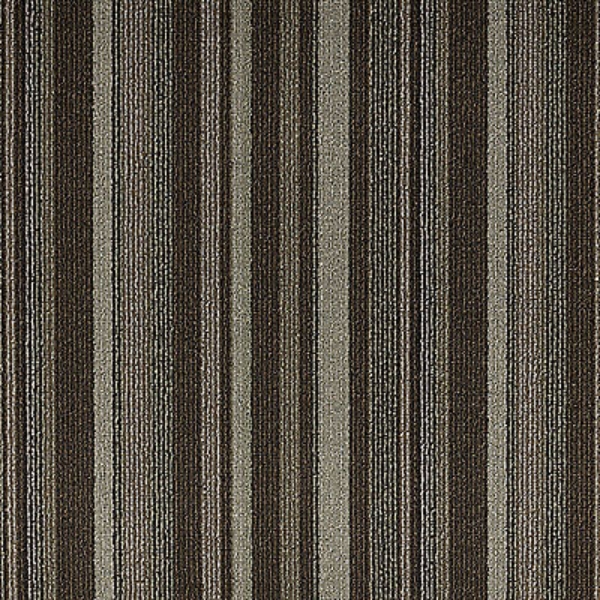 Picture of Aladdin Commercial - Download Network