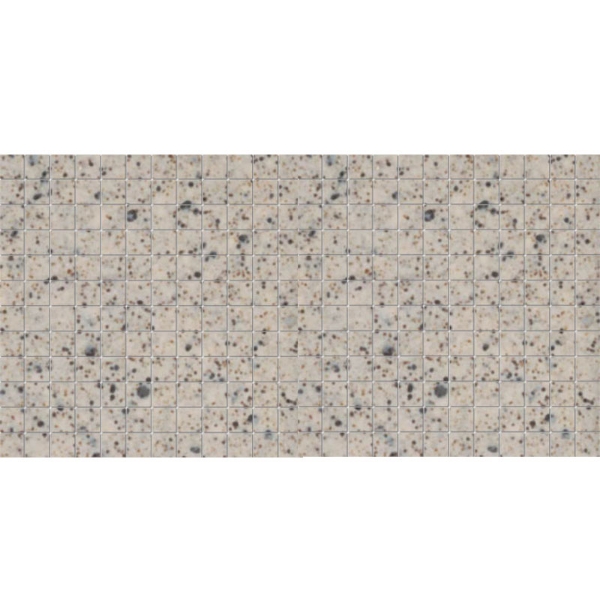 Picture of American Olean - Unglazed ColorBody Mosaic 1 x 1 Buff Granite