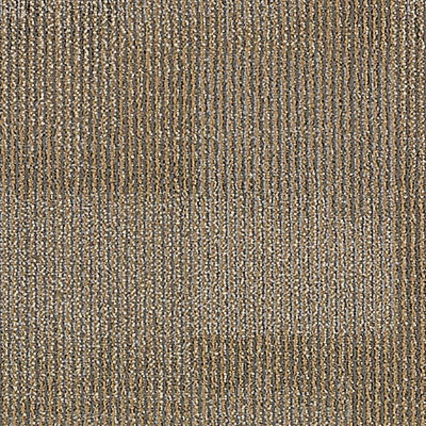 Picture of Aladdin Commercial - Onward Bound Seize Challenge