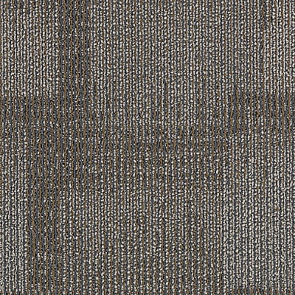 Picture of Aladdin Commercial - Onward Bound Taking Charge