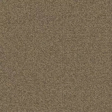 Picture of Aladdin Commercial - Scholarship II Sienna