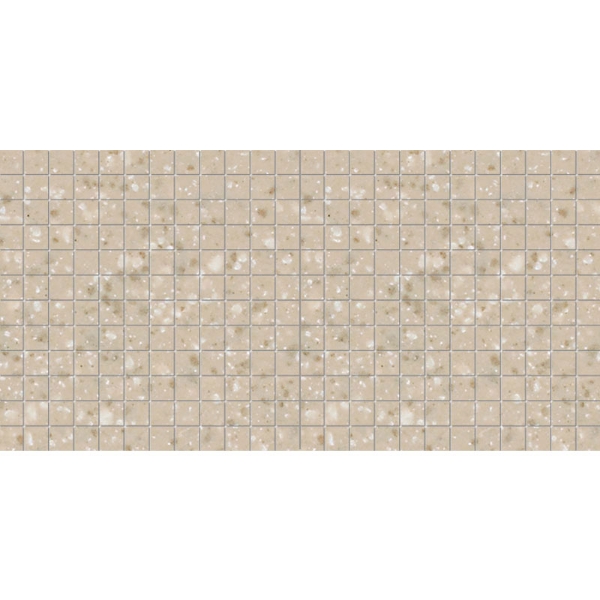 Picture of American Olean - Unglazed ColorBody Mosaic 1 x 1 Abrasive Willow Speckle