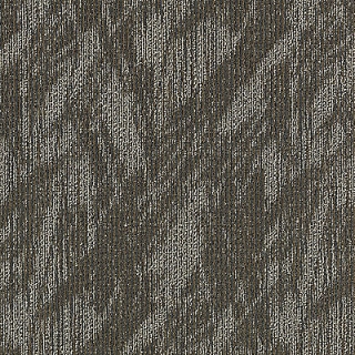 Picture of Aladdin Commercial - Total Visual So Intrigued