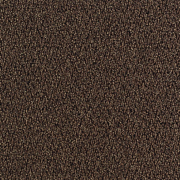 Picture of Aladdin Commercial - Walk The Walk Walnut