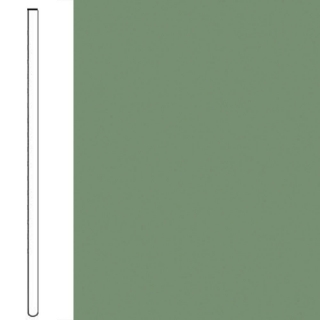 Picture of Flexco - Wall Base Straight 1/8 4 Asparagus