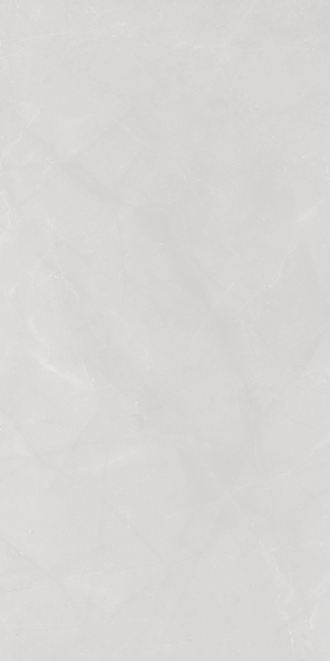 Picture of Tesoro - Walk 24 x 48 White