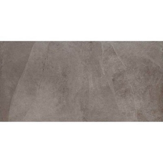 Picture of Daltile - Delegate Paver 20 x 40 Light Grey