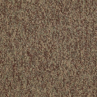 Picture of Philadelphia Commercial by Shaw - No Limits Achievement